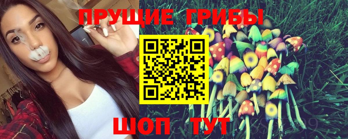 Галлюциногенные грибы GOLDEN TEACHER  Вход с VPN  Канаш 