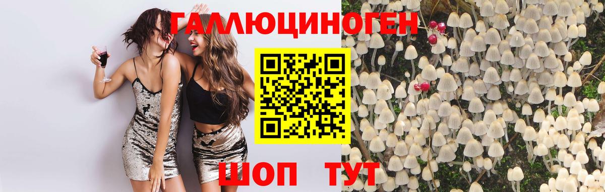 Галлюциногенные грибы Magic Shrooms Канаш